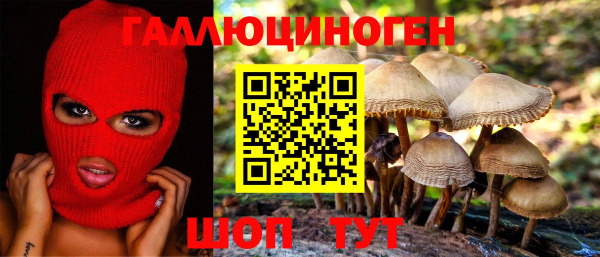 закладка  Вход с VPN  Междуреченск  Псилоцибиновые грибы Cubensis  Галлюциногенные грибы Psilocybe 